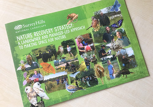 Surrey Hills ANOB annual report brochure cover design